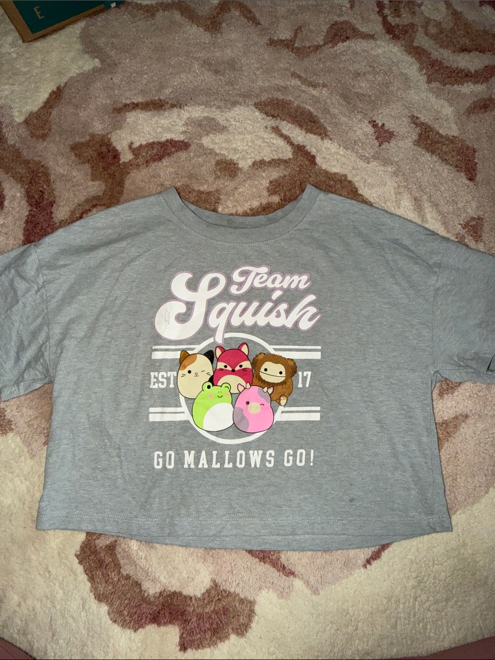 GAP Gray 'Team Squish' Graphic Short Sleeve Crop Tee with Pastel Characters